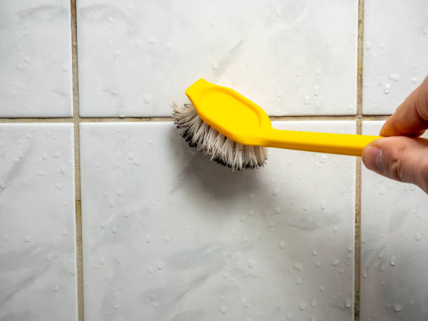 Best Emergency Mold Remediation in Islip Terrace, NY